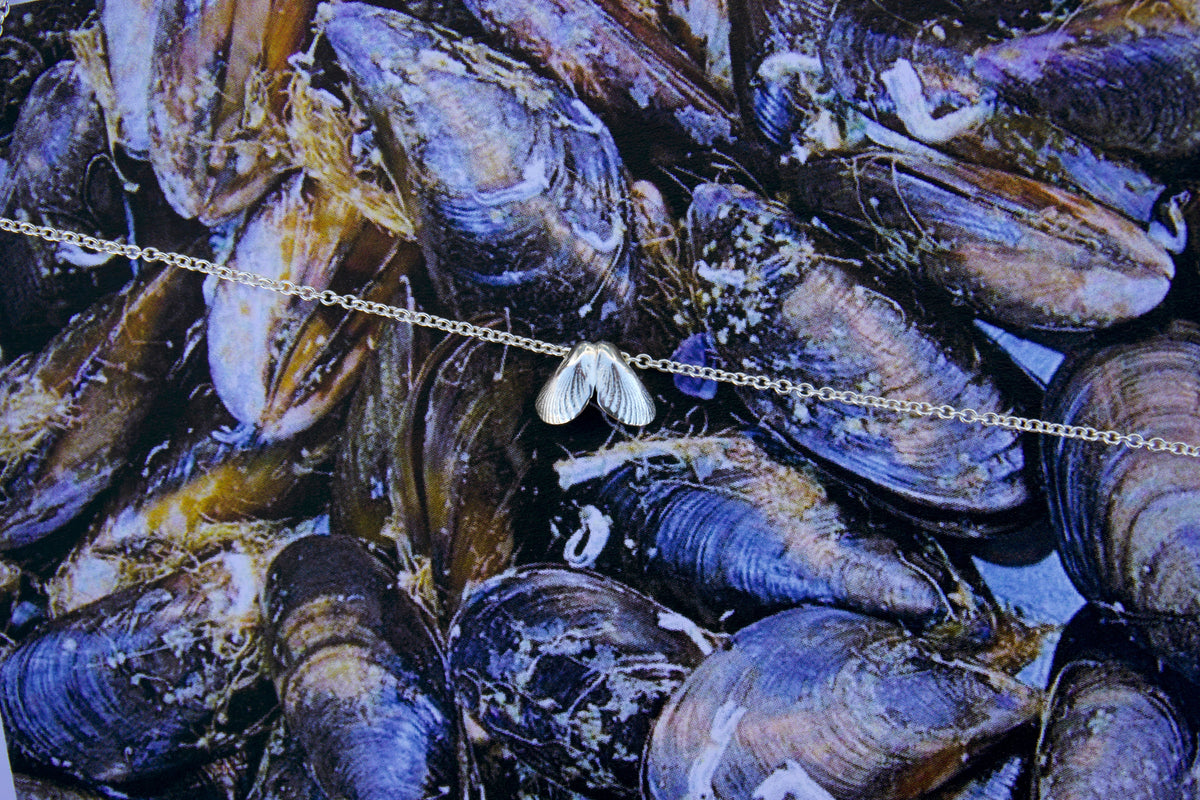 Lasithi | Mussles