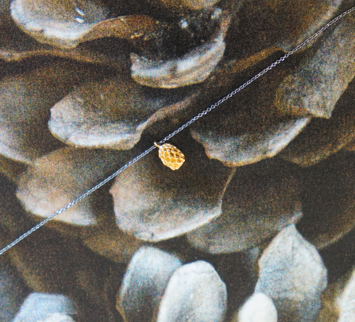 Pine Nut necklace with black chain