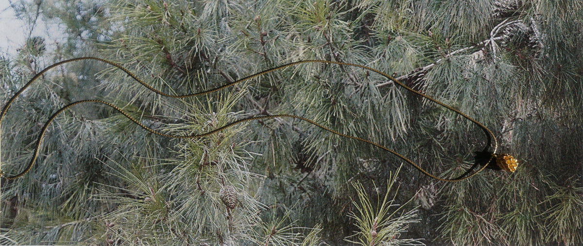 A long, thin pine nut necklace draped across pine branches with green needles and small pinecones, photographed outdoors against the tree foliage.