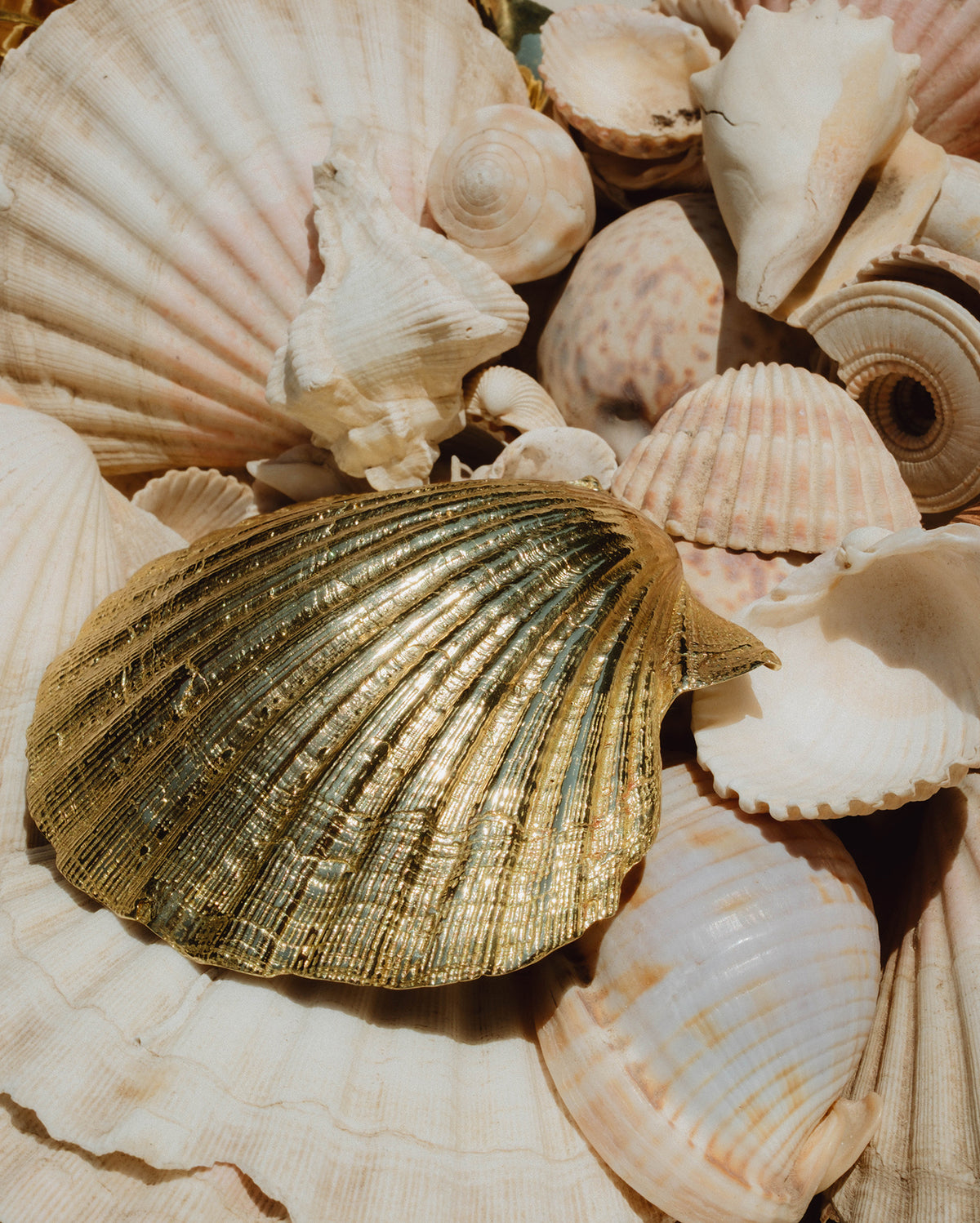 Pearl of Aphrodite