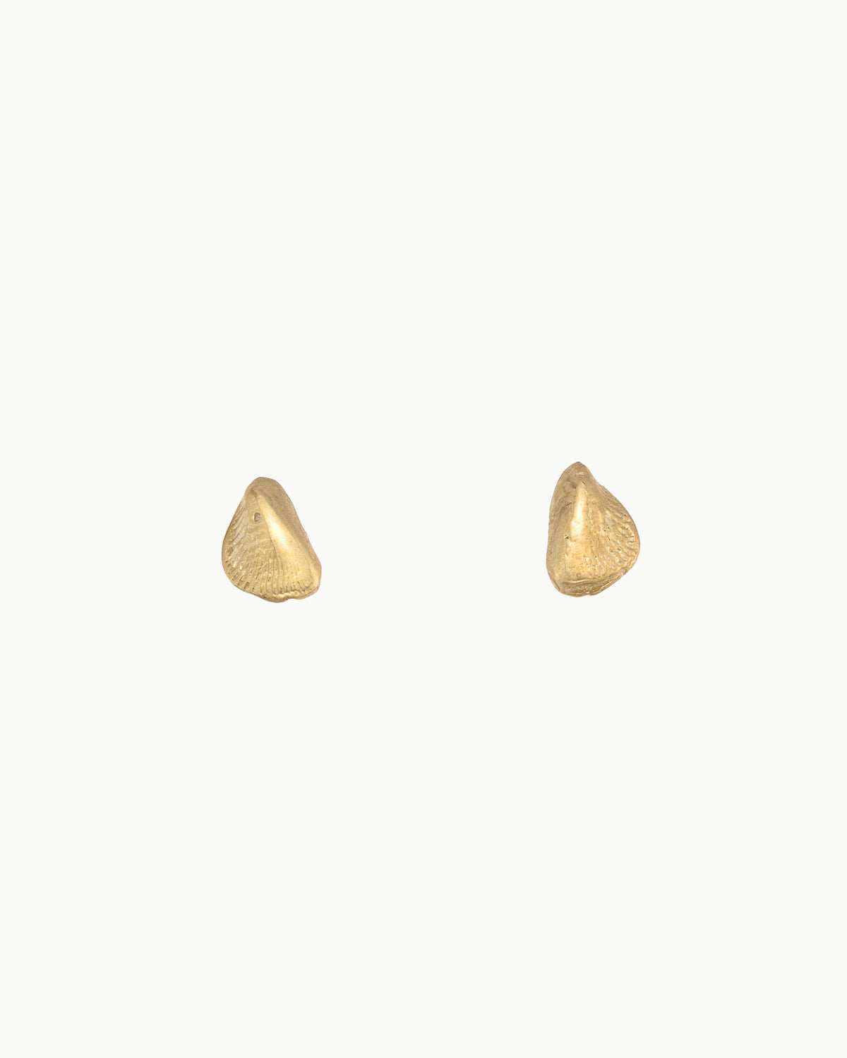 Mussel stud earrings