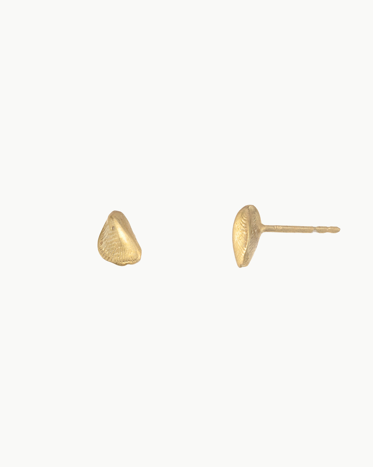 Mussel stud earrings