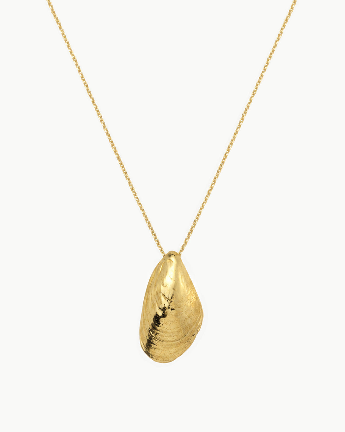 Mussel necklace