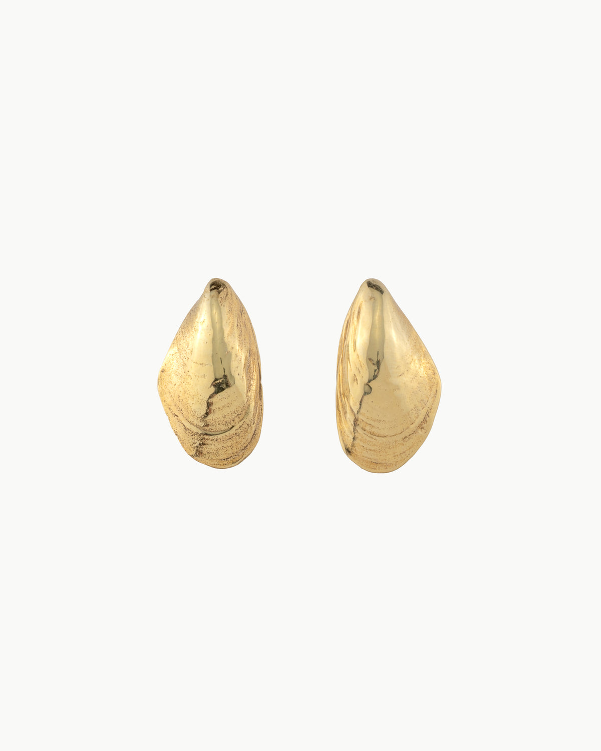 Mussel earrings medium