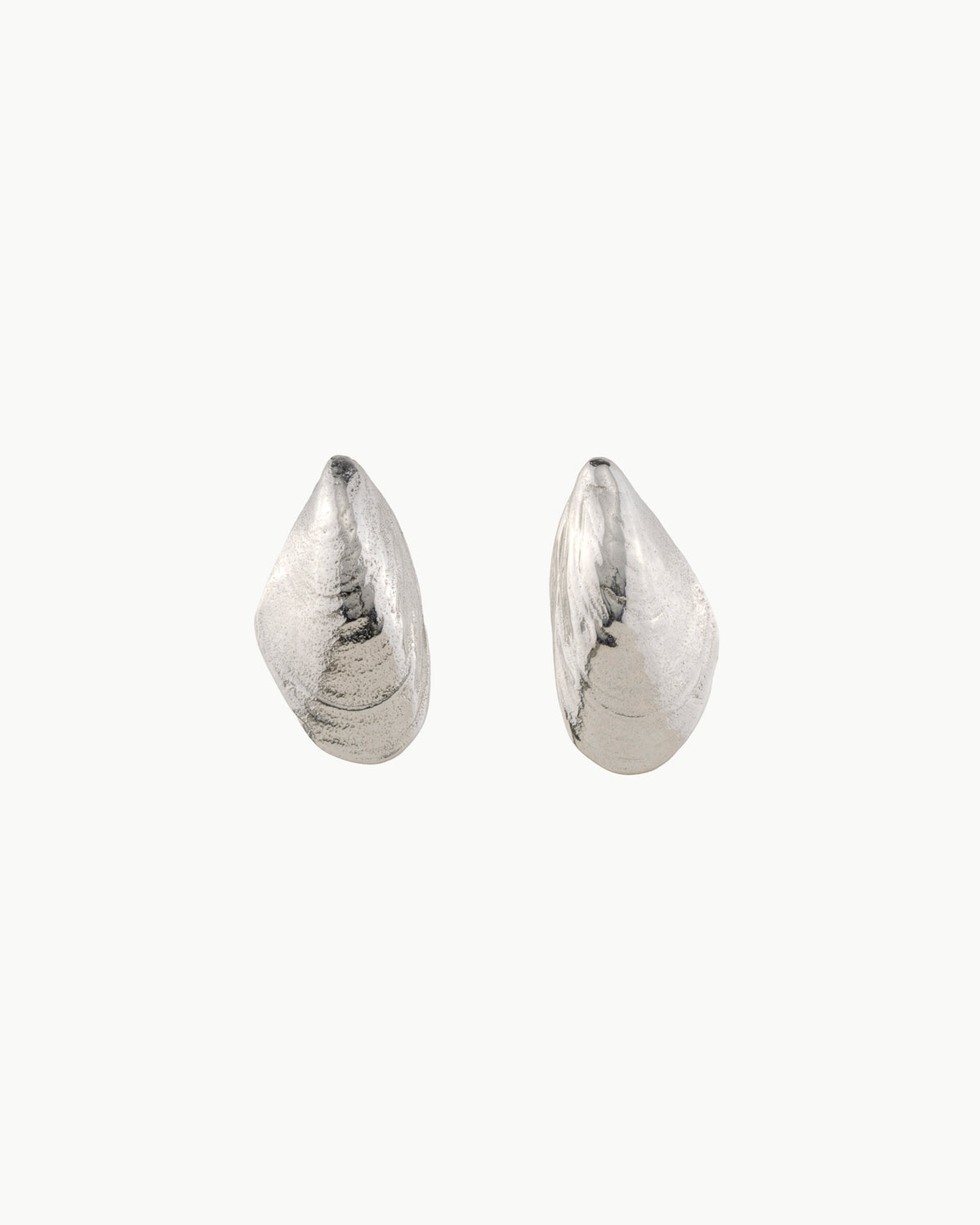 Mussel earrings medium