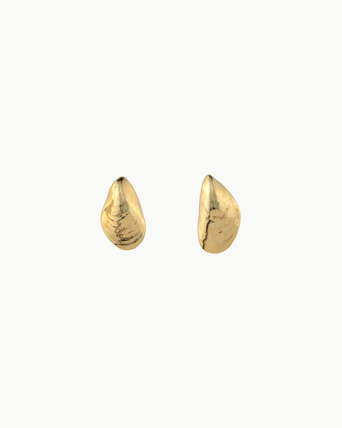 Mussel earrings small