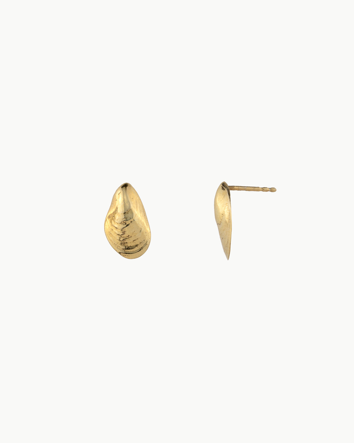 Mussel earrings small