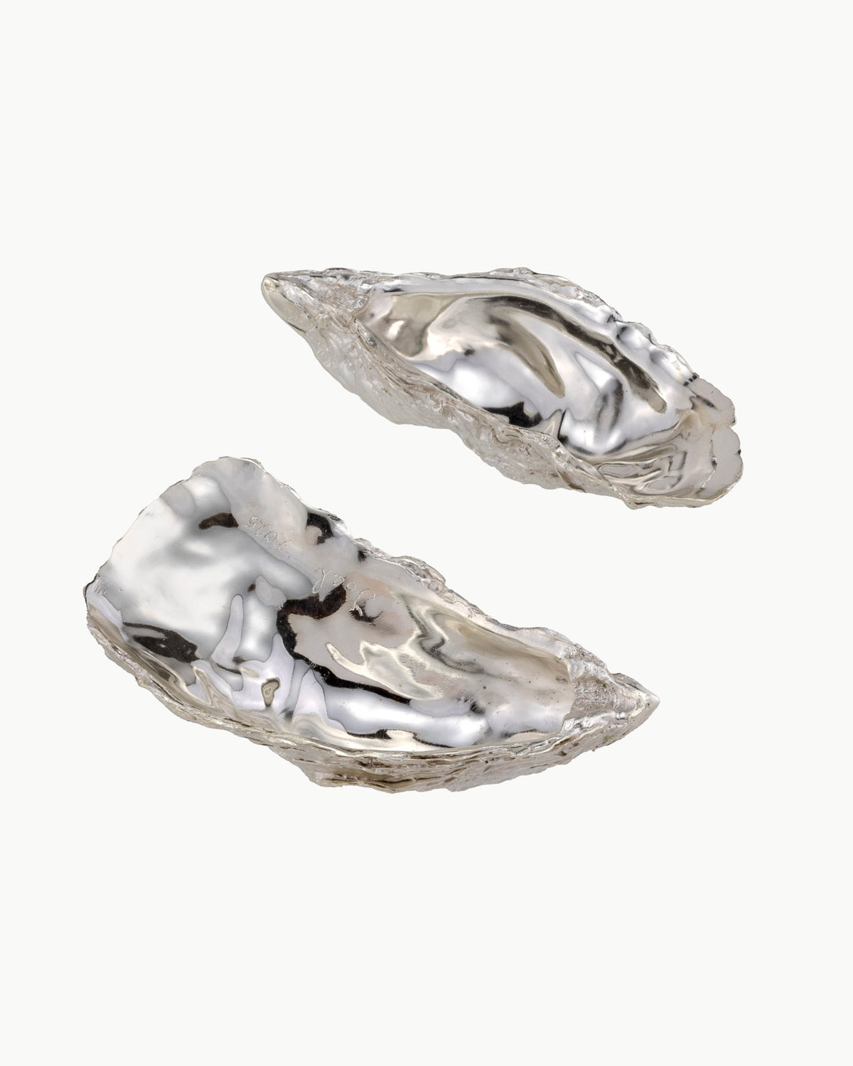 The World is your Oyster