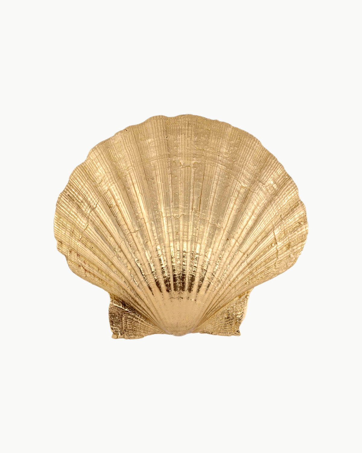 Pearl of Aphrodite