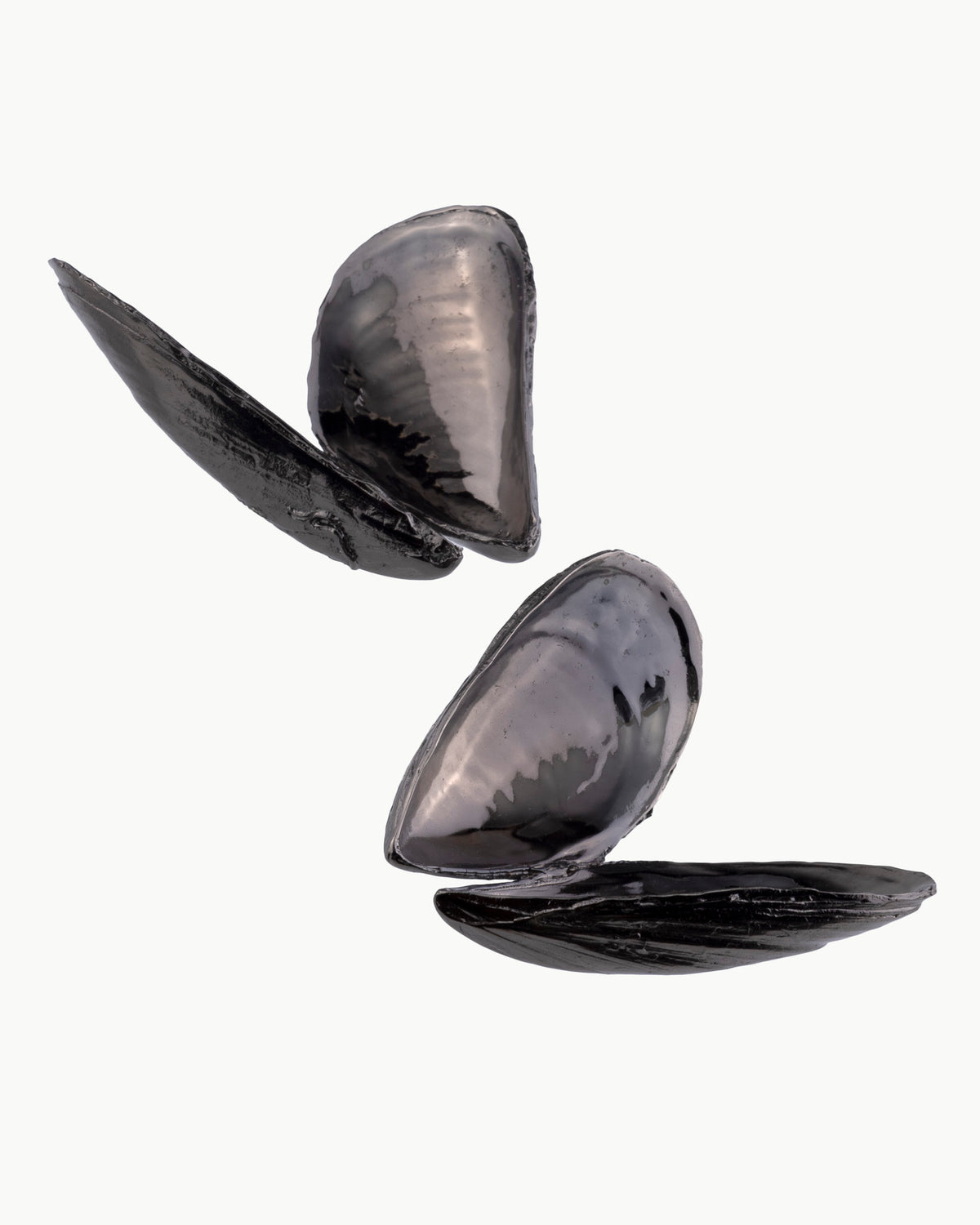 Queen & King of Mussels