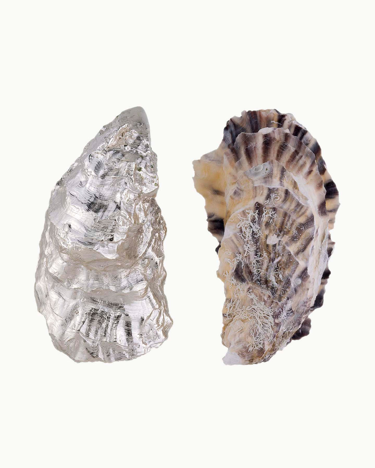 The World is your Oyster