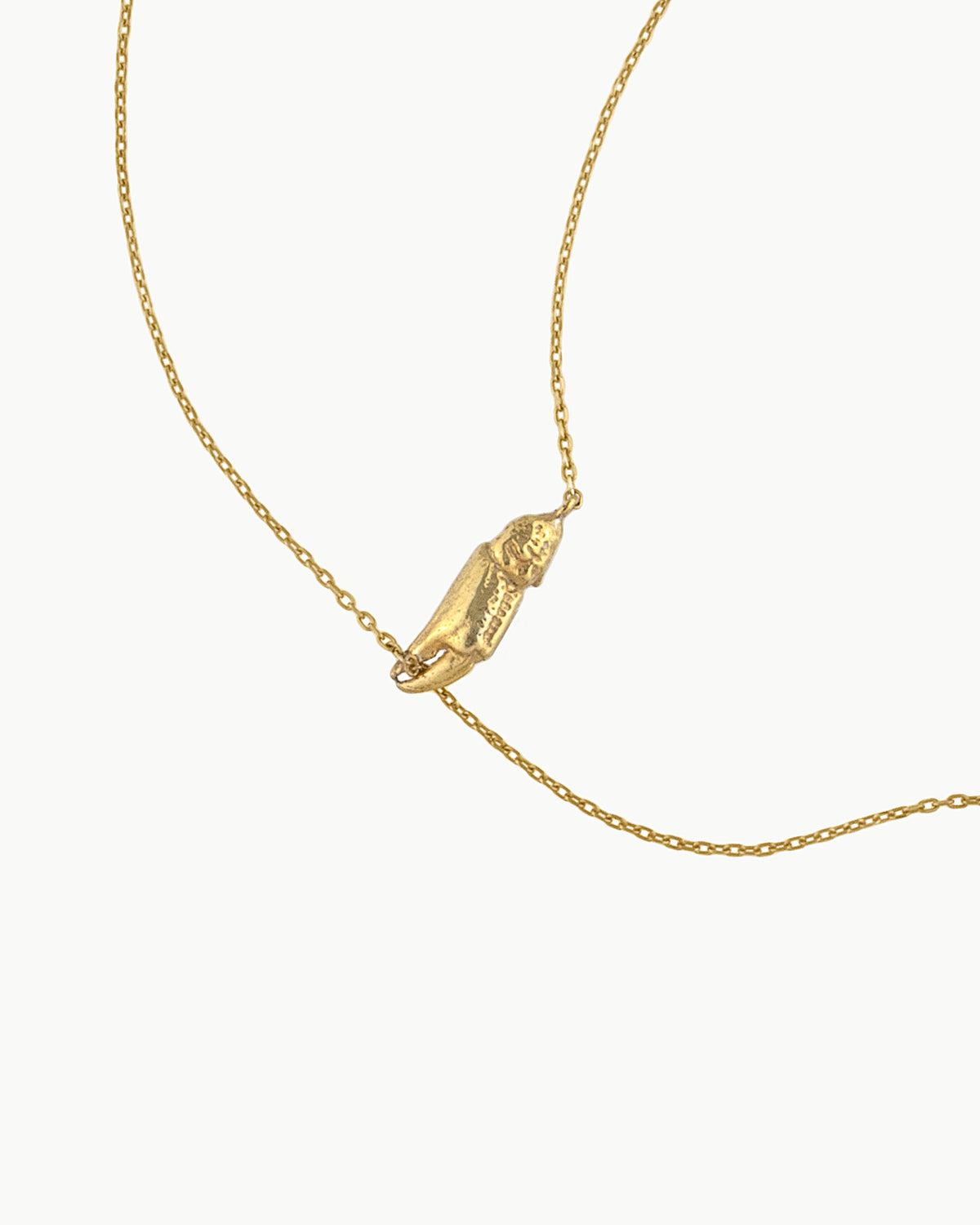 Today's Catch necklace extra long