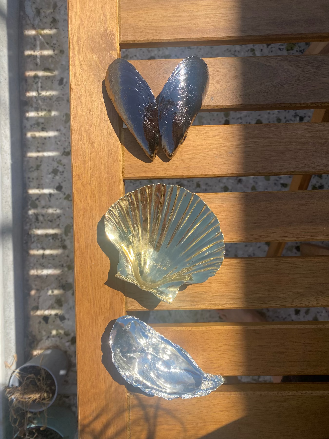 The World is your Oyster