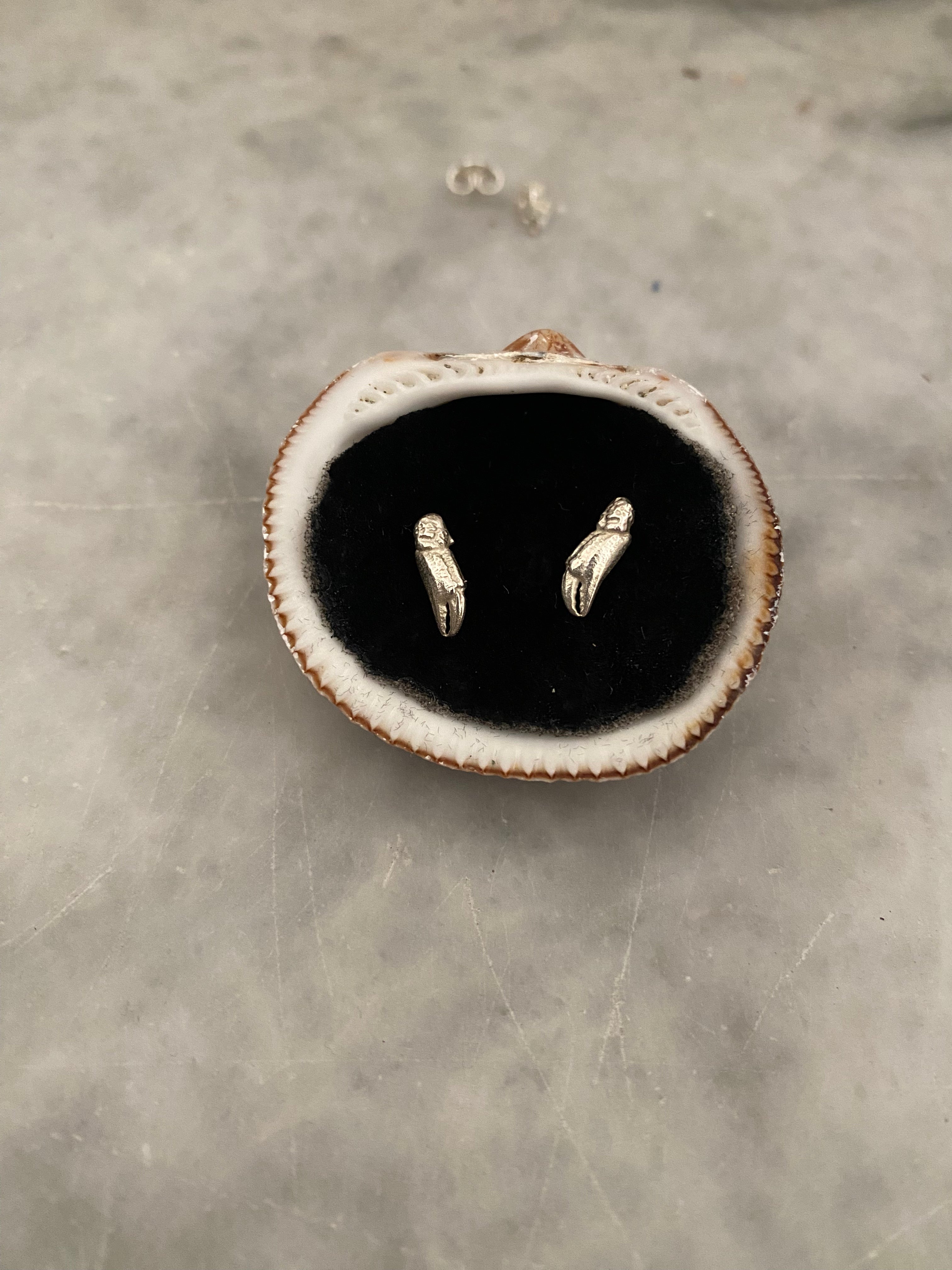 Crab Claw stud earrings medium