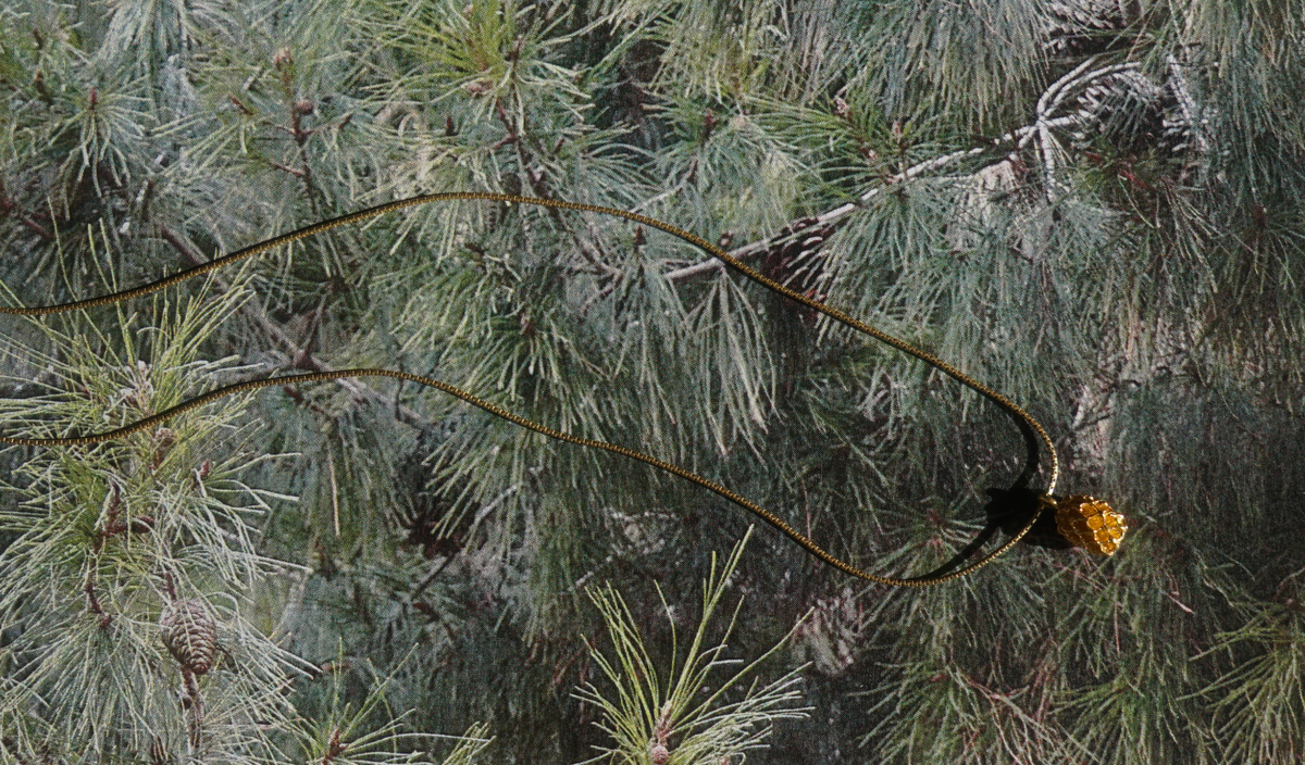 Athens | Pine nut
