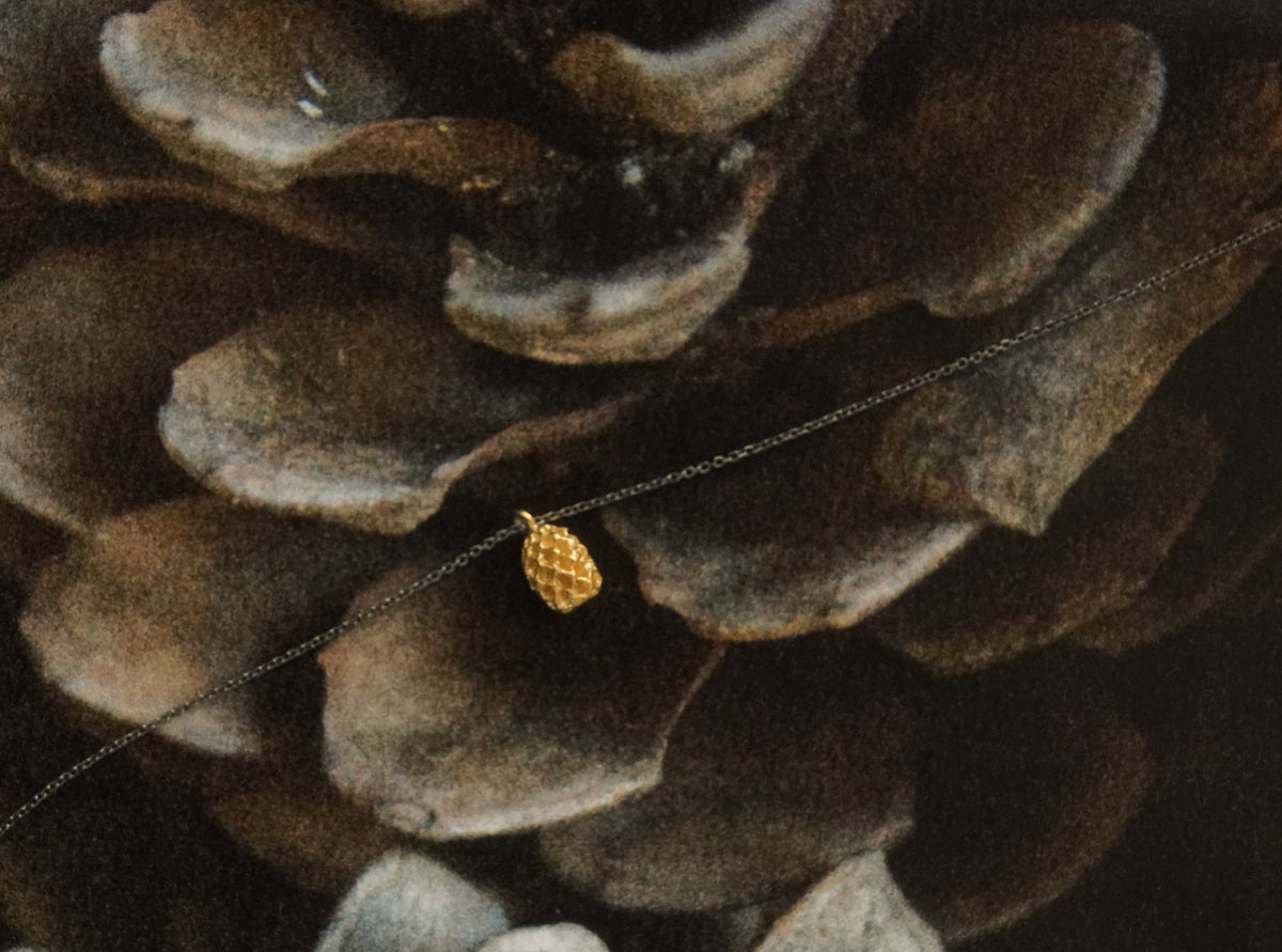Pine Nut necklace with black chain