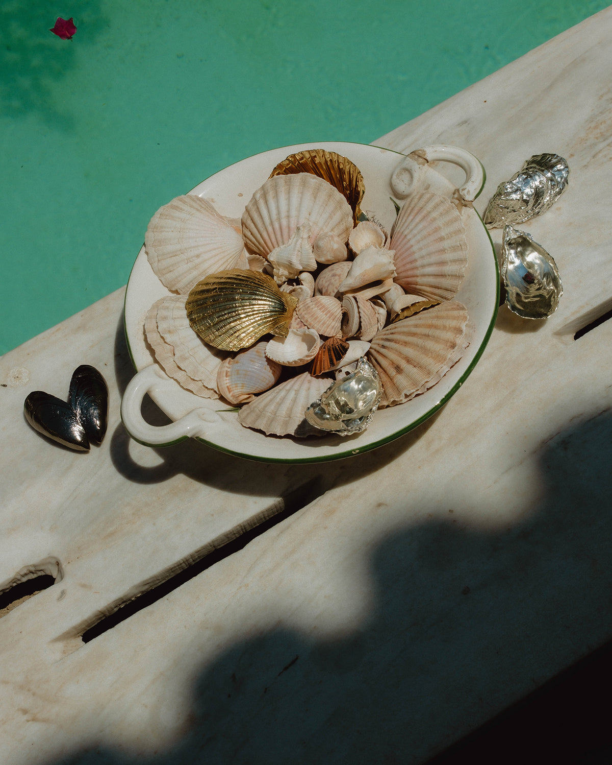 The World is your Oyster