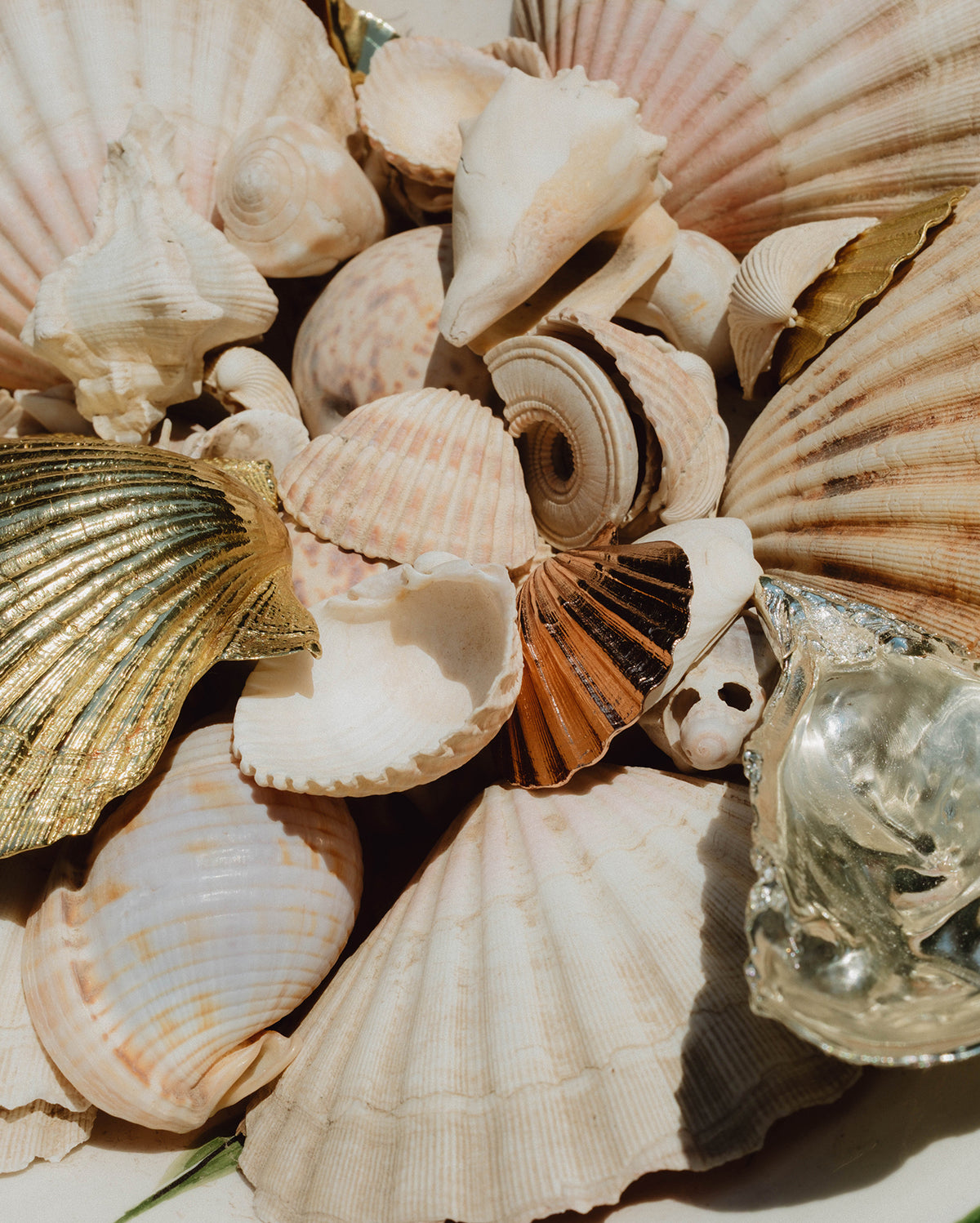 Pearl of Aphrodite mini