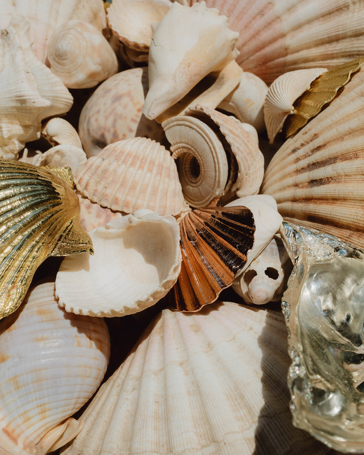 Pearl of Aphrodite mini
