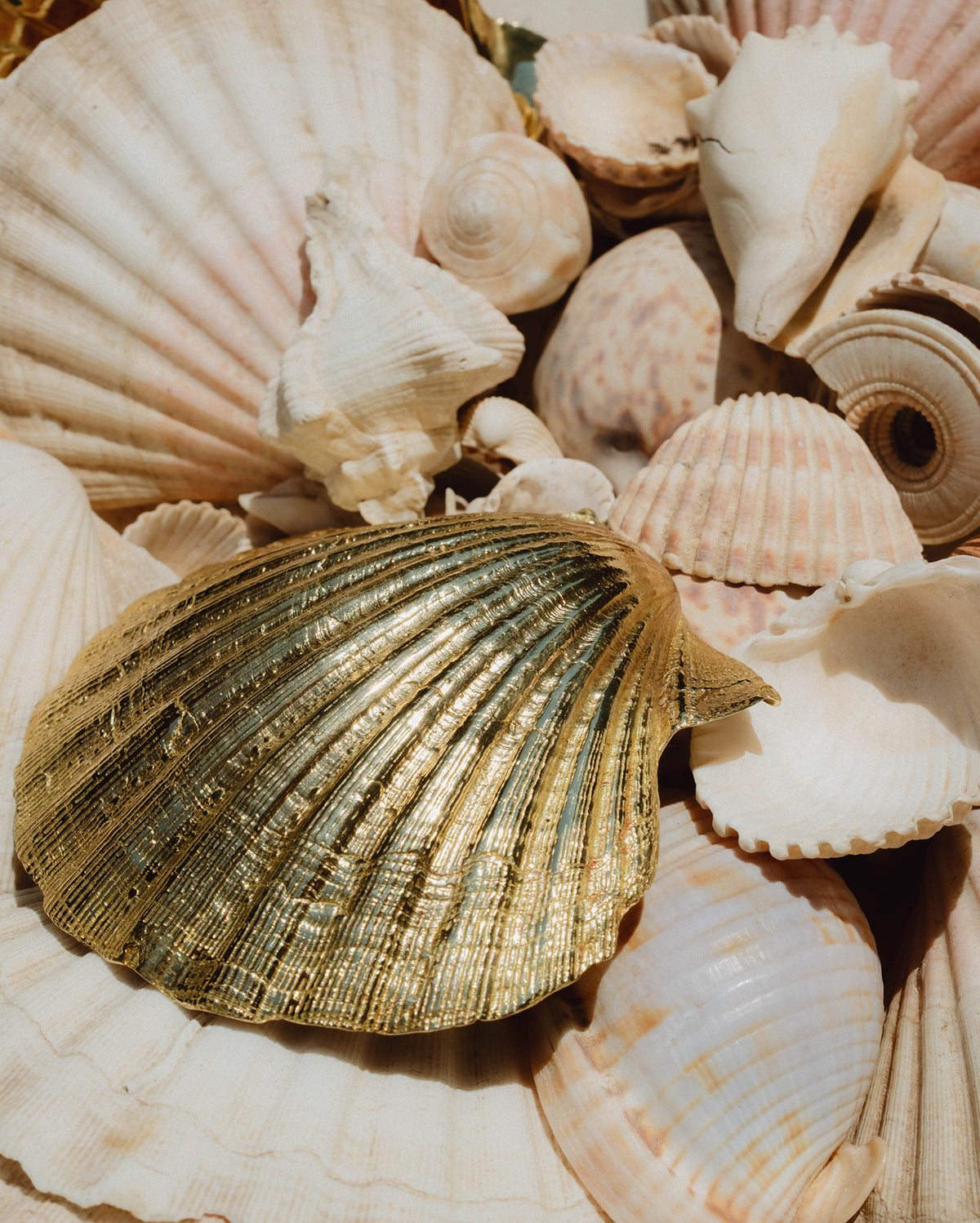 Pearl of Aphrodite