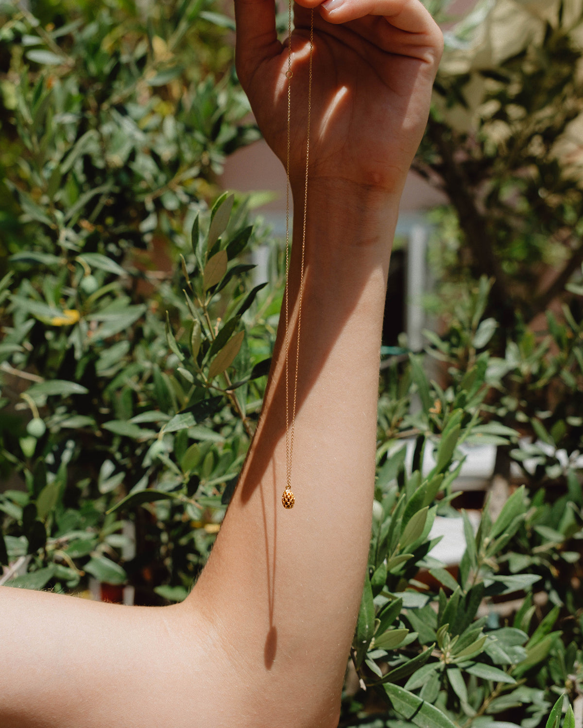 Pine Nut in solid gold