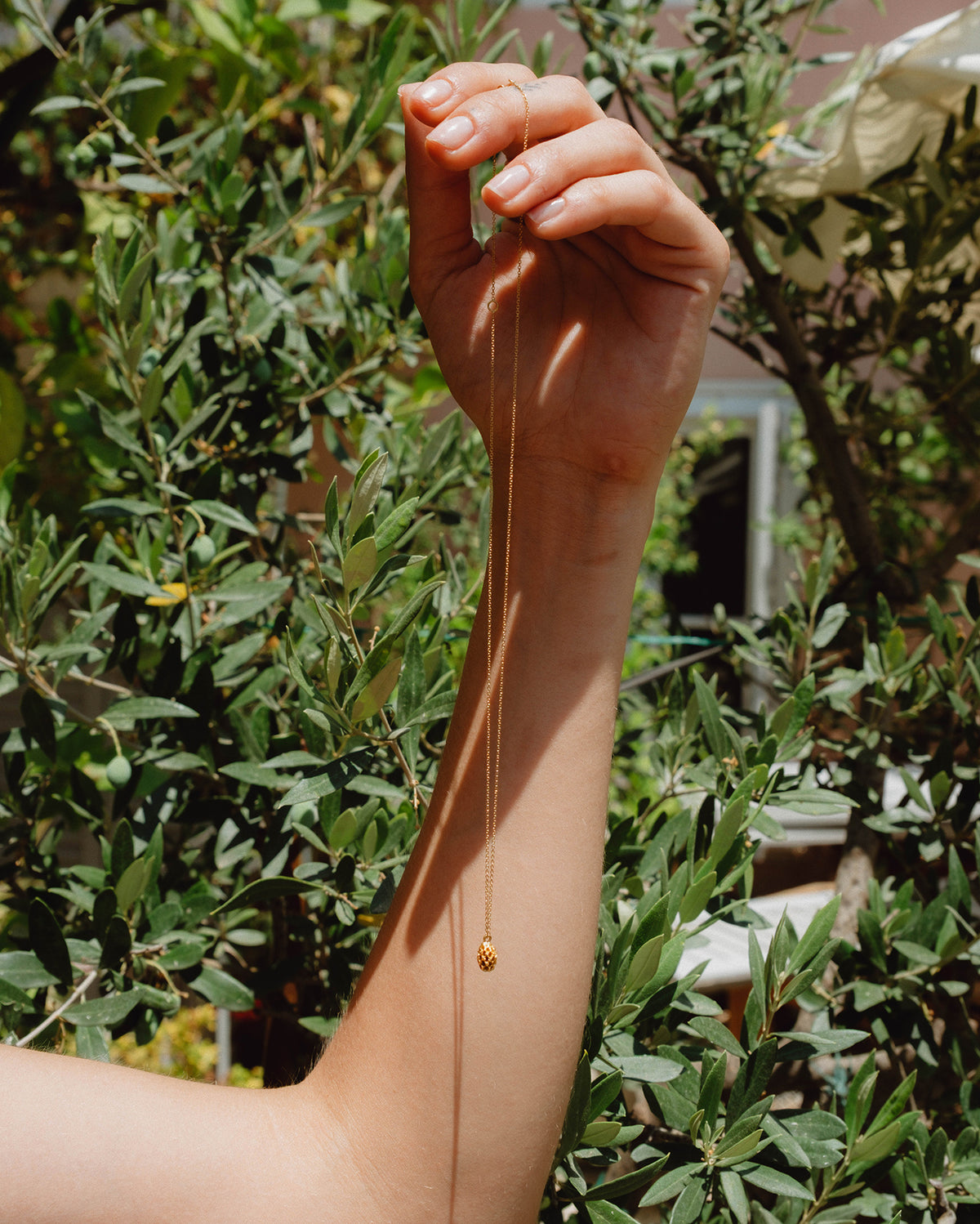 Pine Nut in solid gold