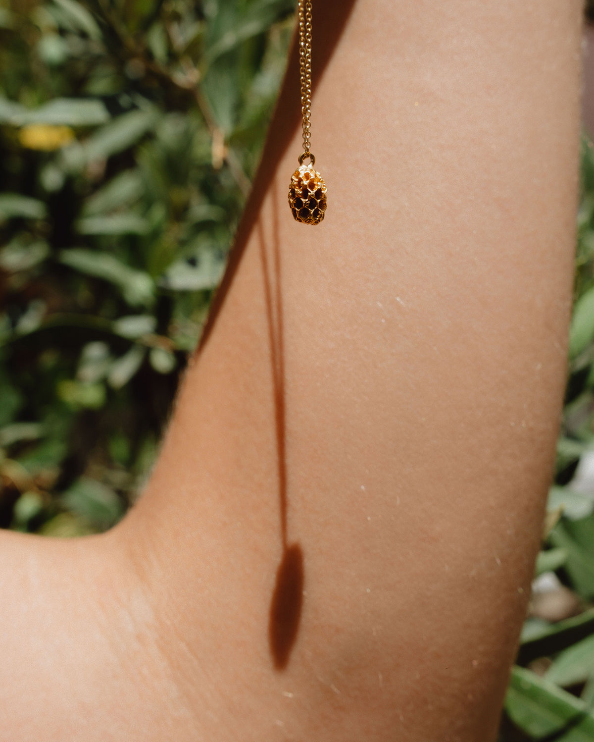Pine Nut in solid gold