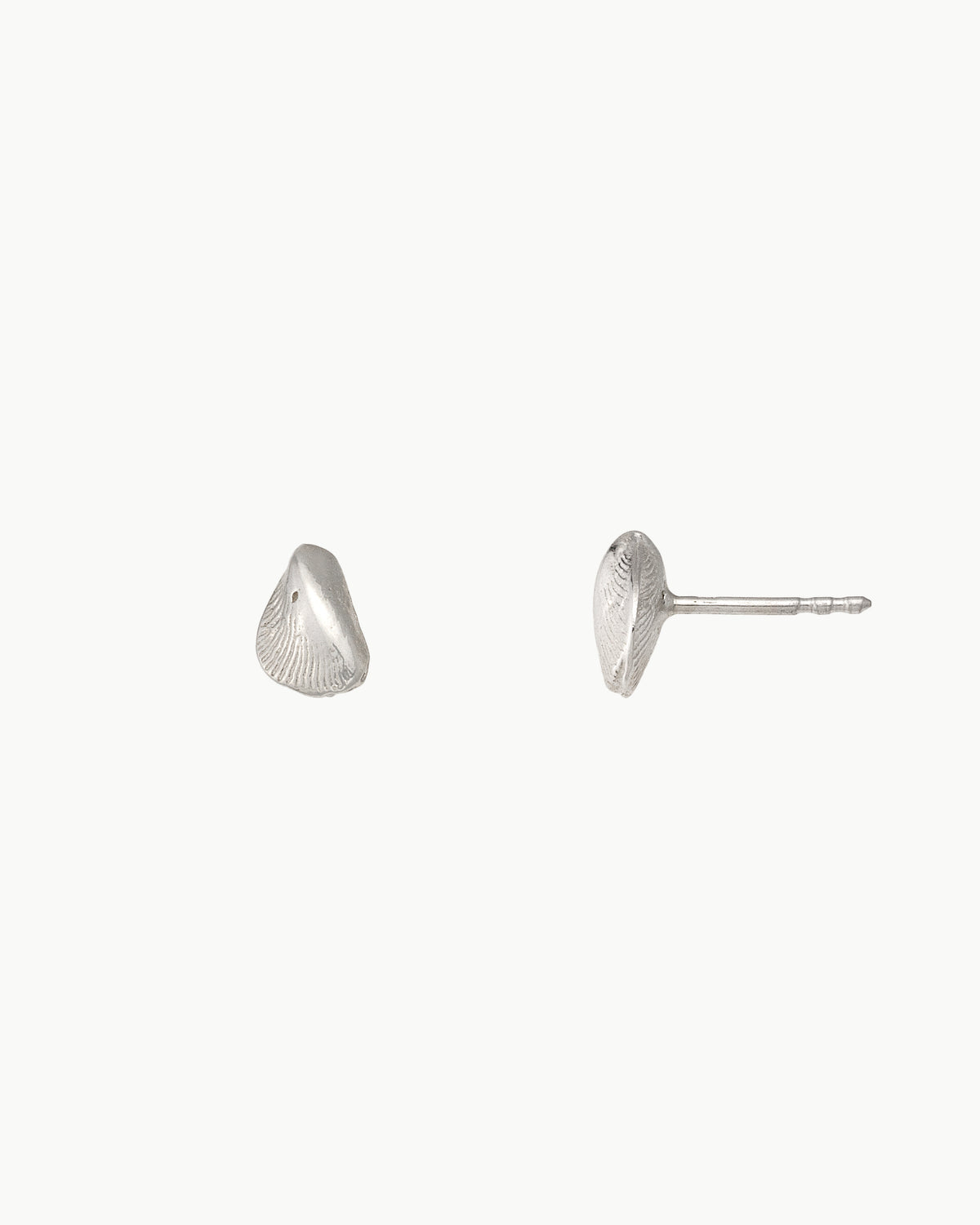Mussel stud earrings