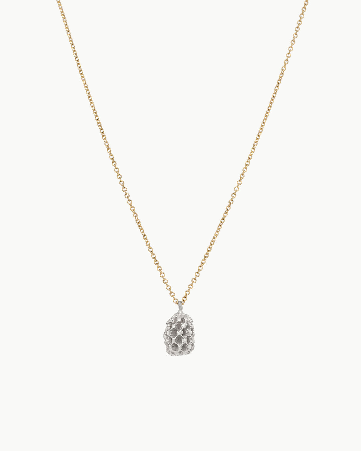 Pine Nut in solid gold