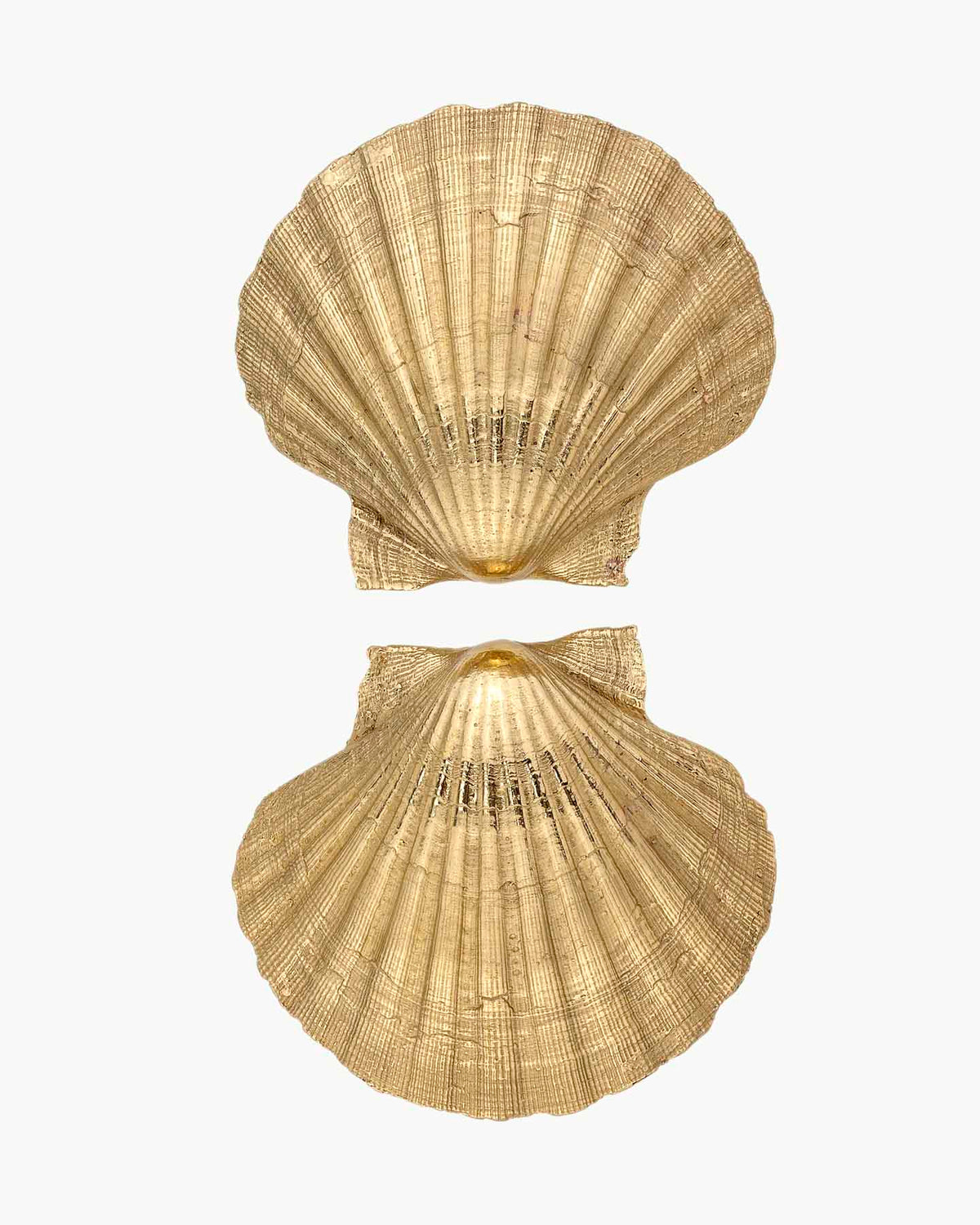 Pearl of Aphrodite