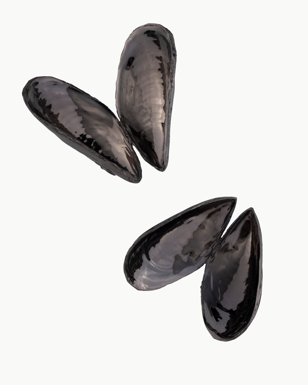Queen & King of Mussels