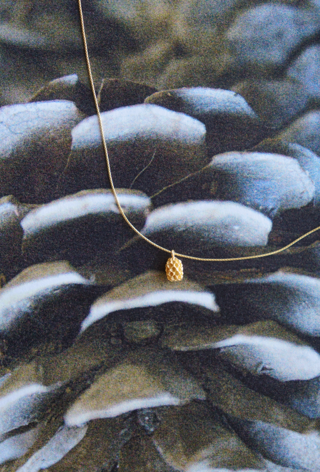 Pine Nut necklace